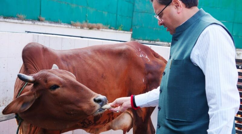 सीएम धामी ने गोवर्धन पूजा पर गौ माता का पूजन किया, लोगों से पर्यावरण संरक्षण के साथ पर्व मनाने की अपील की।