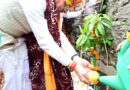 श्रावणी मेले का हुआ शुभारंभ, मुख्यमंत्री धामी ने जागेश्वर धाम में की पूजा-अर्चना